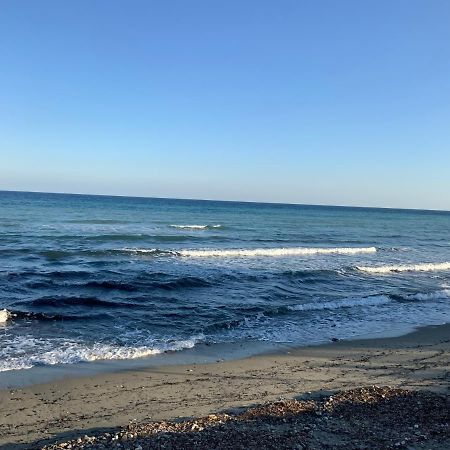 Studio Bord De Mer Santa-Lucia-di-Moriani Zewnętrze zdjęcie