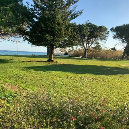 Studio Bord De Mer Santa-Lucia-di-Moriani Zewnętrze zdjęcie