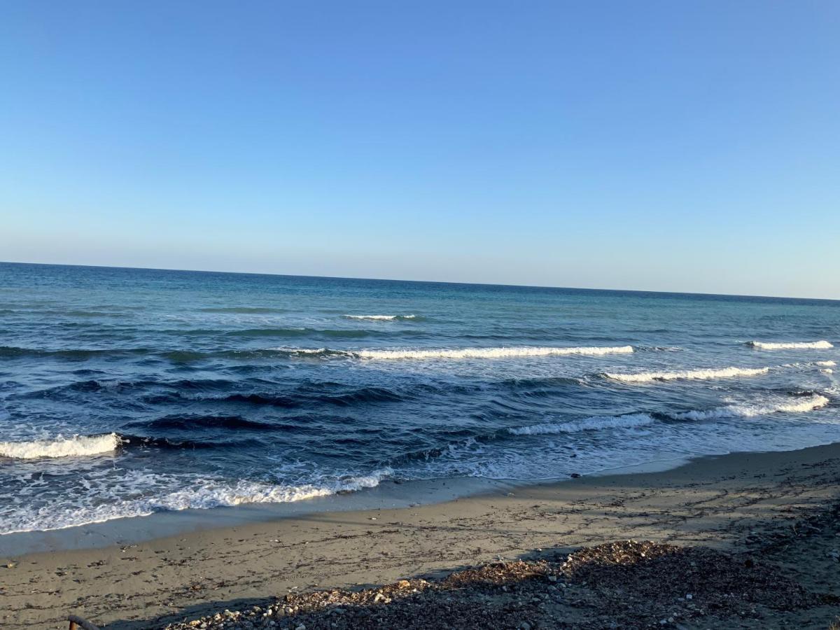 Studio Bord De Mer Santa-Lucia-di-Moriani Zewnętrze zdjęcie