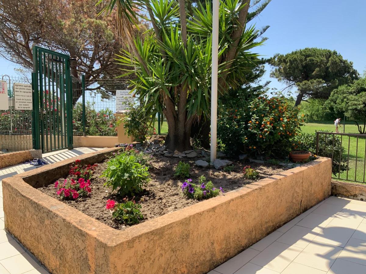 Studio Bord De Mer Santa-Lucia-di-Moriani Zewnętrze zdjęcie